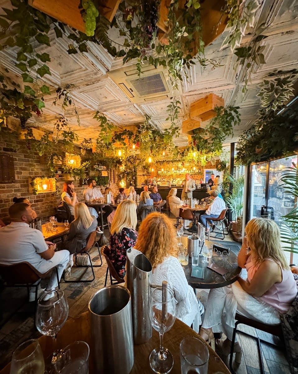 The Wine House Swansea