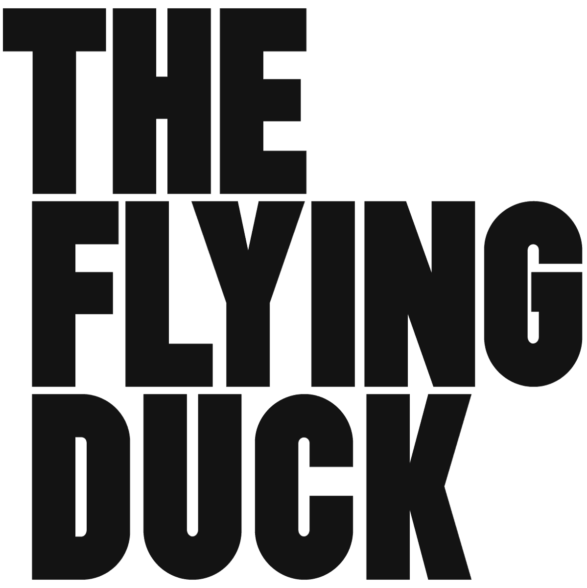The Flying Duck