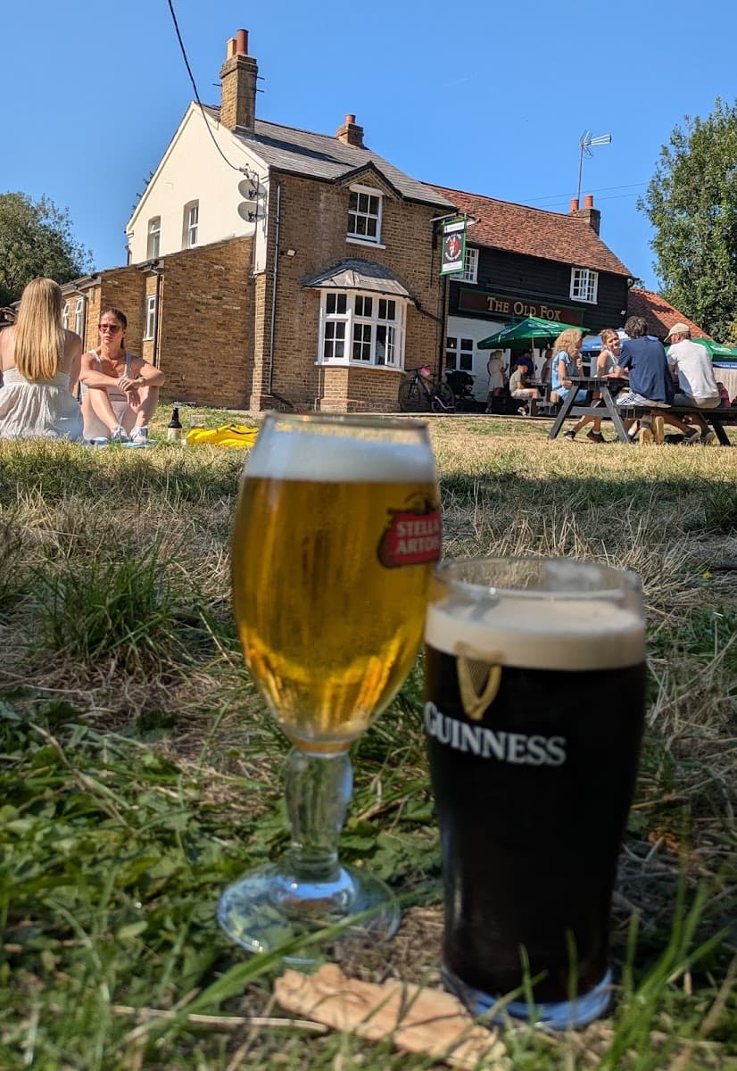 The Old Fox-now open