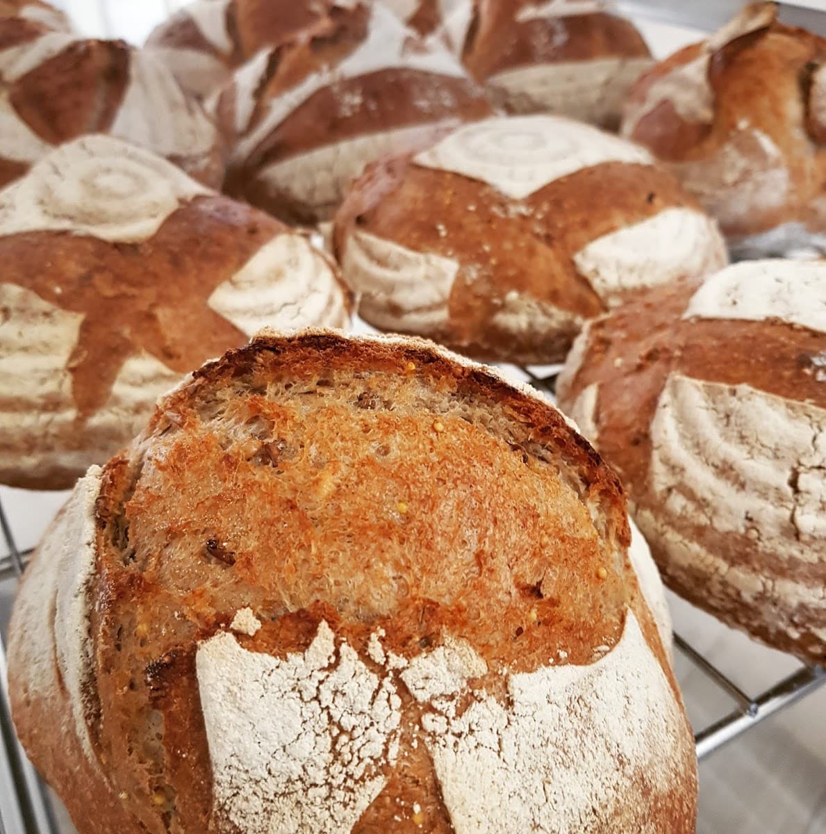 Vera Artisan Bakery and Kitchen