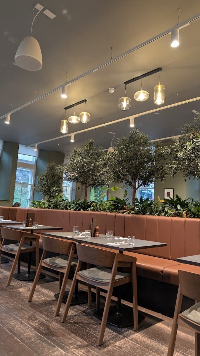 Canopy Kitchen & Courtyard