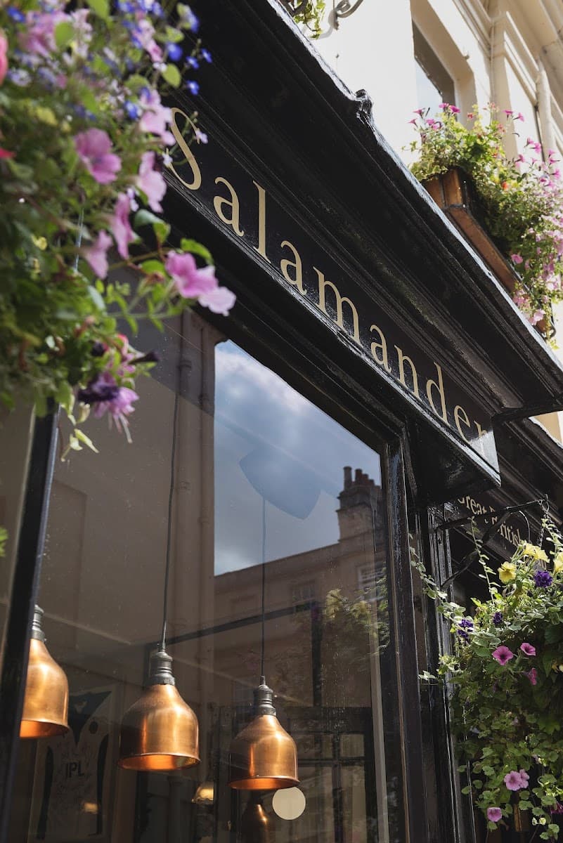 The Salamander