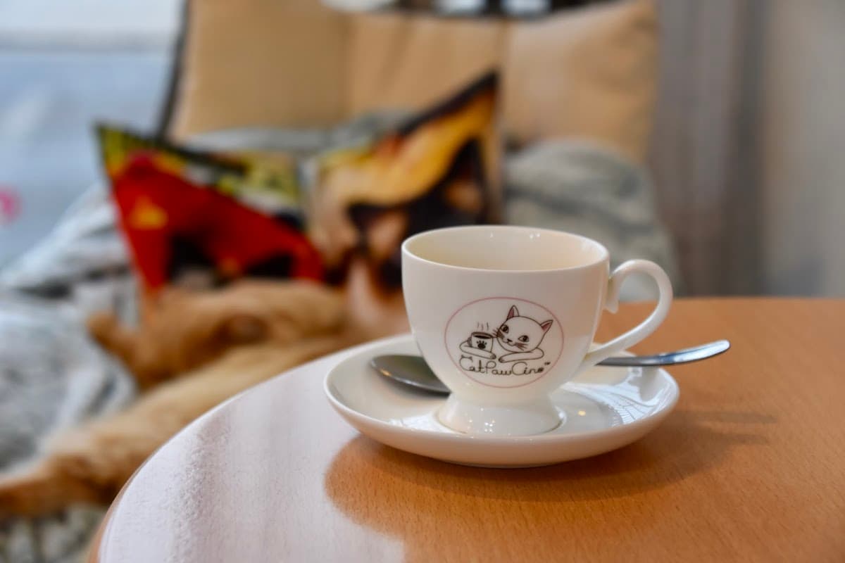 CatPawCino Cat Cafe
