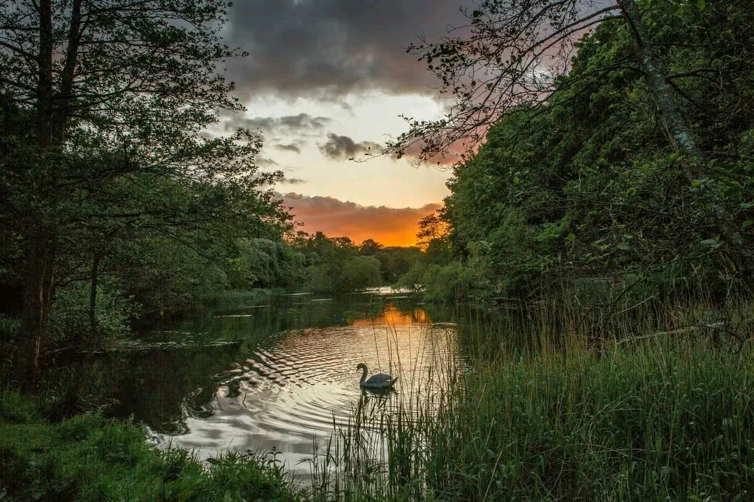 Blackford Hill and Pond