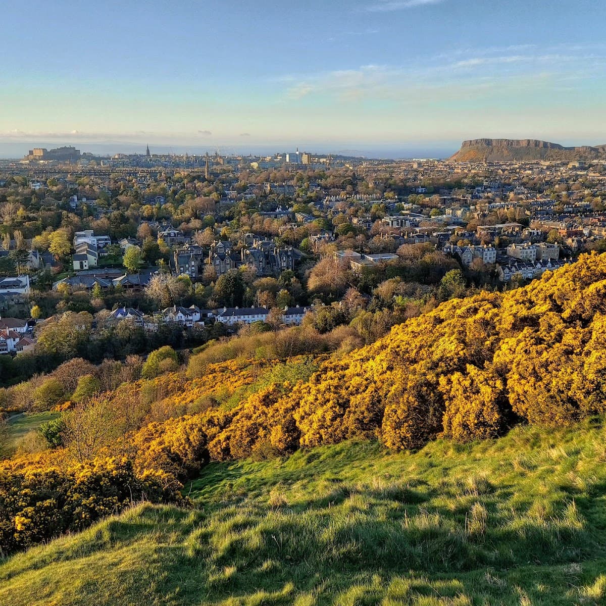 Blackford Hill and Pond