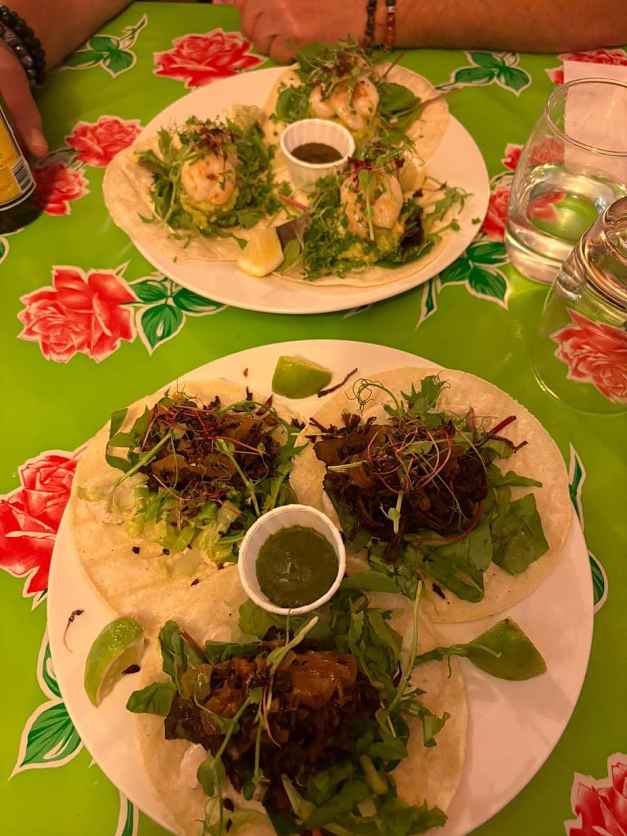 Salsa Viva Cantina