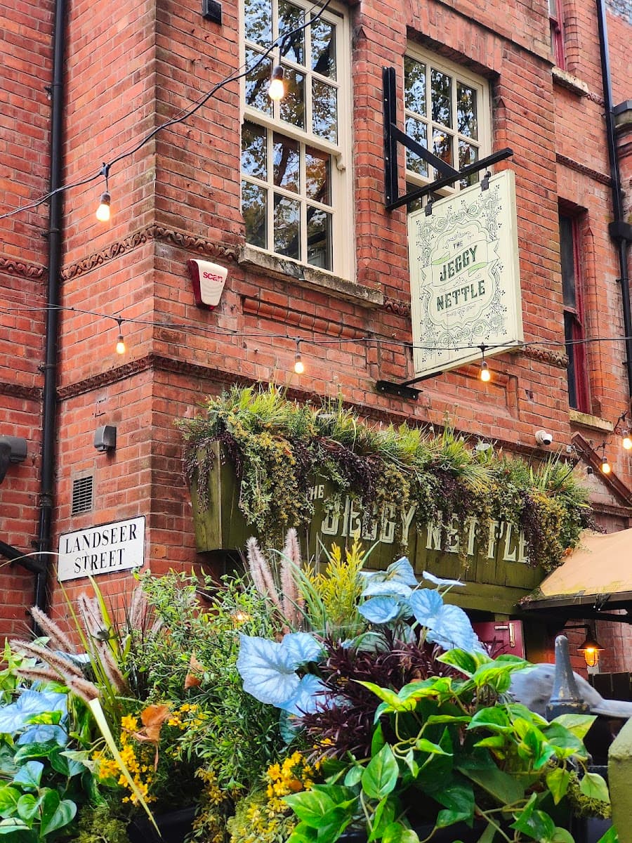 The Jeggy Nettle Pub