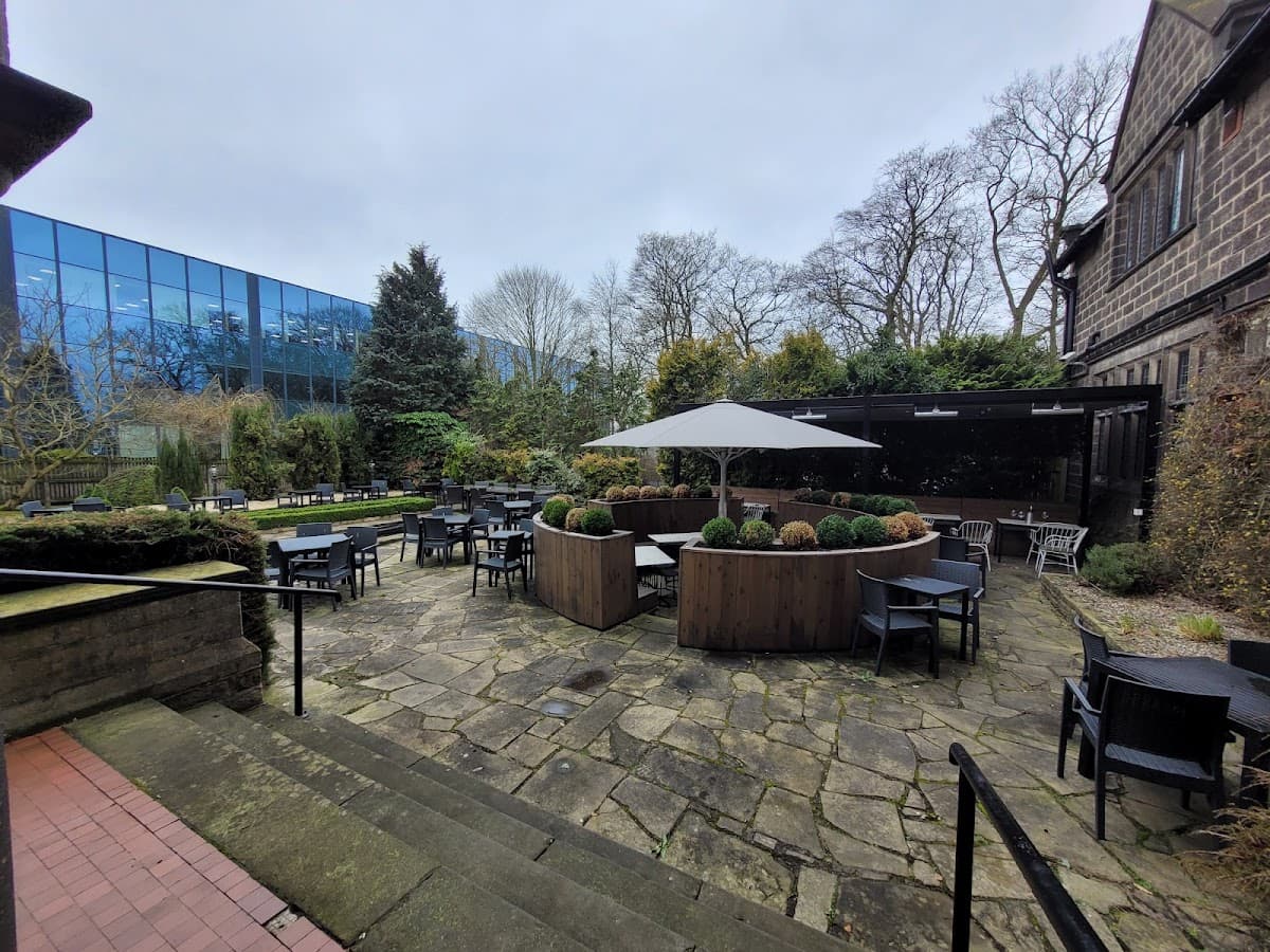 Pine Marten Harrogate