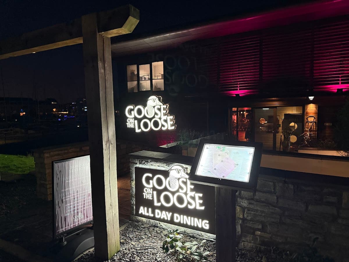 Goose On The Loose