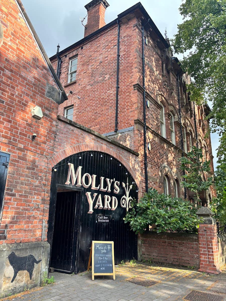Molly's Yard