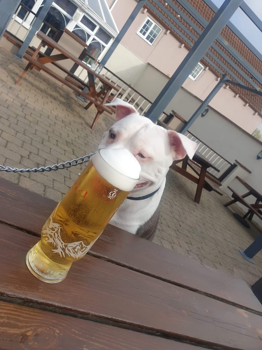 Sun Inn