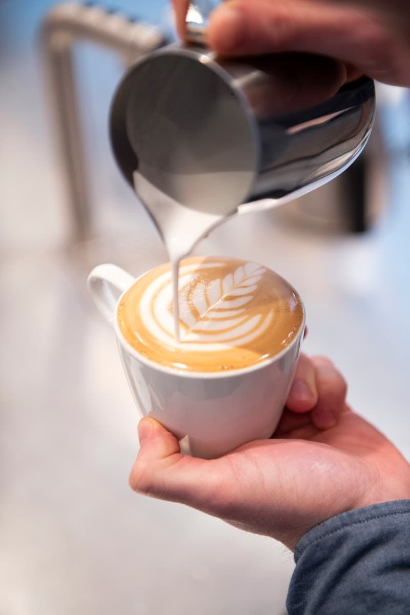 Kiss the Hippo Coffee Chelsea