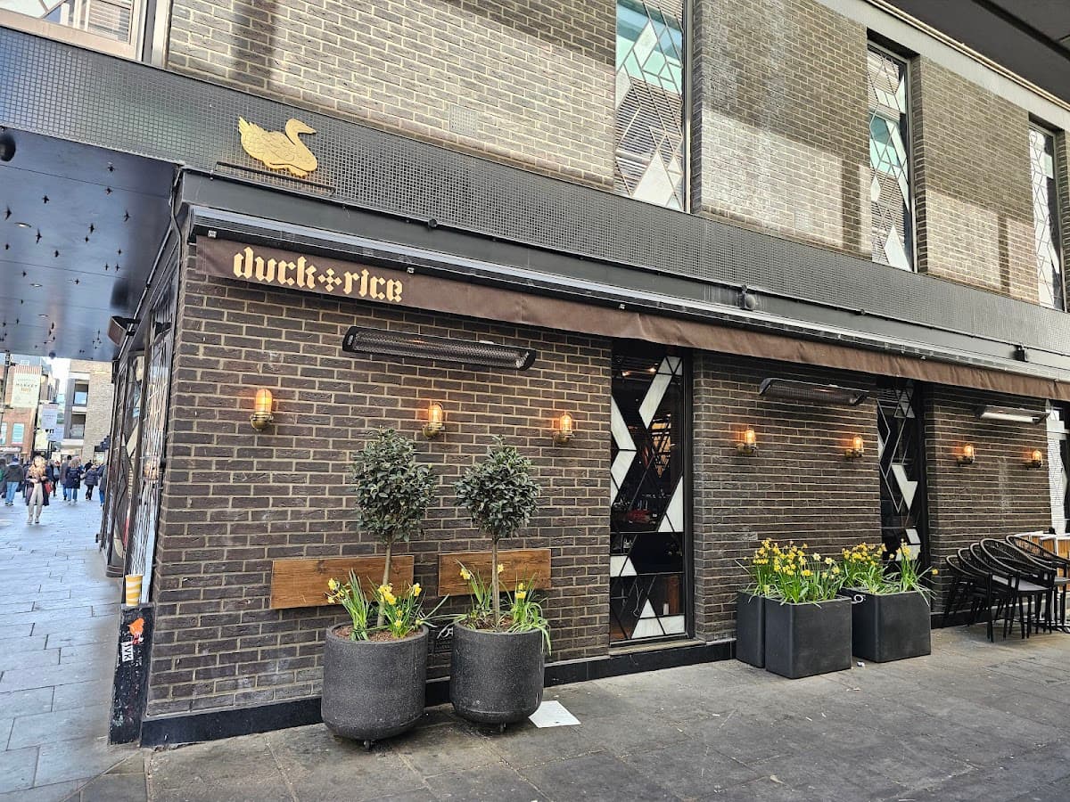 The Duck and Rice