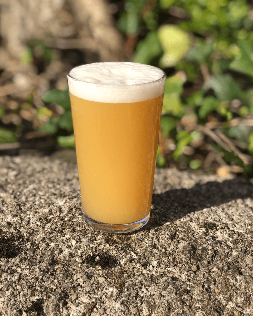 Accidental Brewery and Micropub
