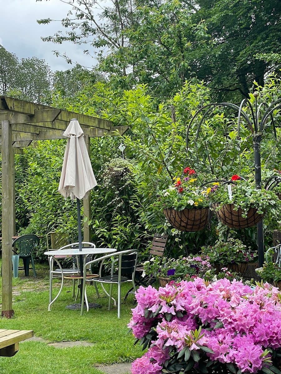Hidden Gem Coffee Shop