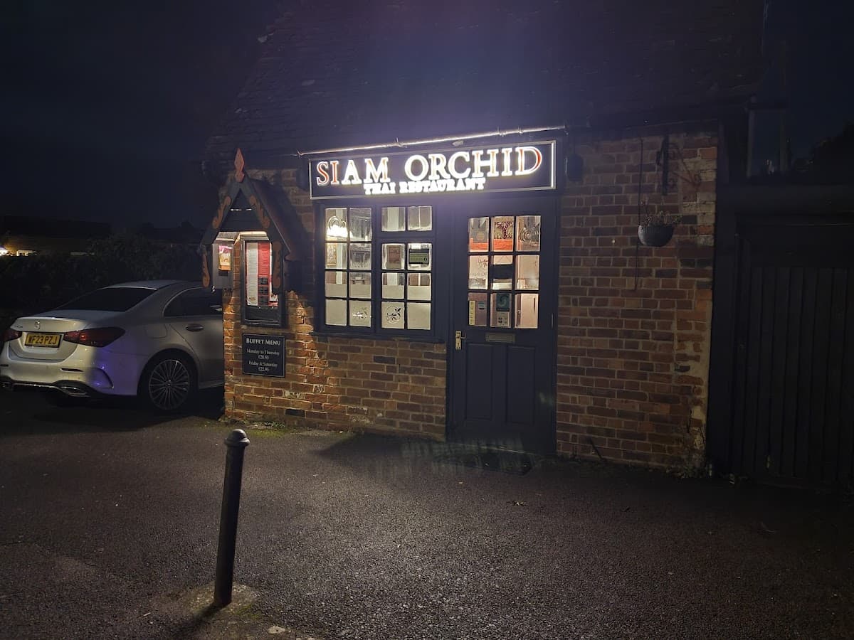 Siam Orchid