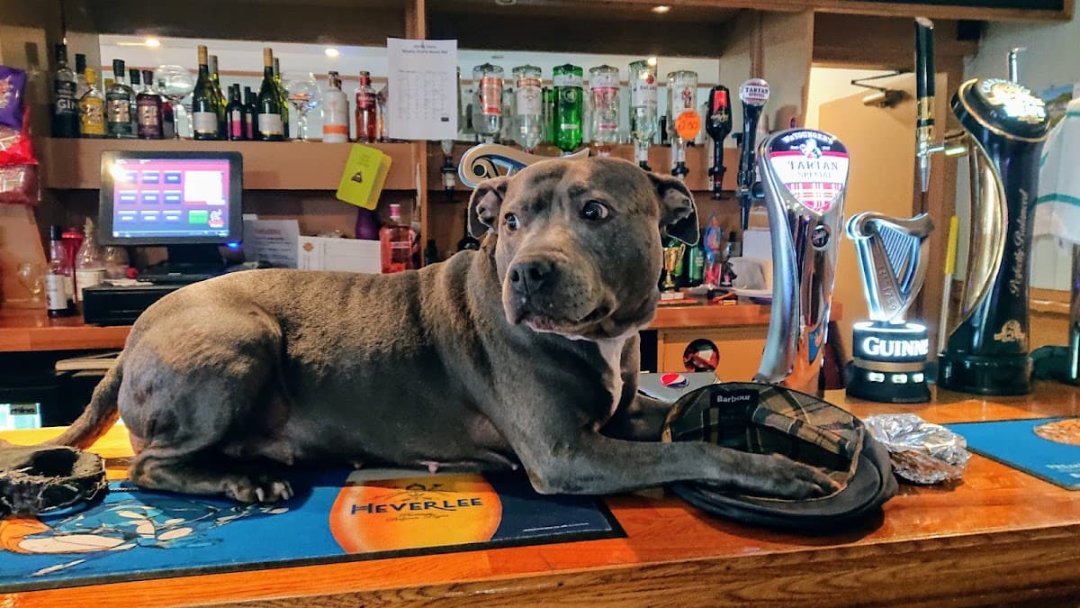 Stirrup Stane Bar and Lounge