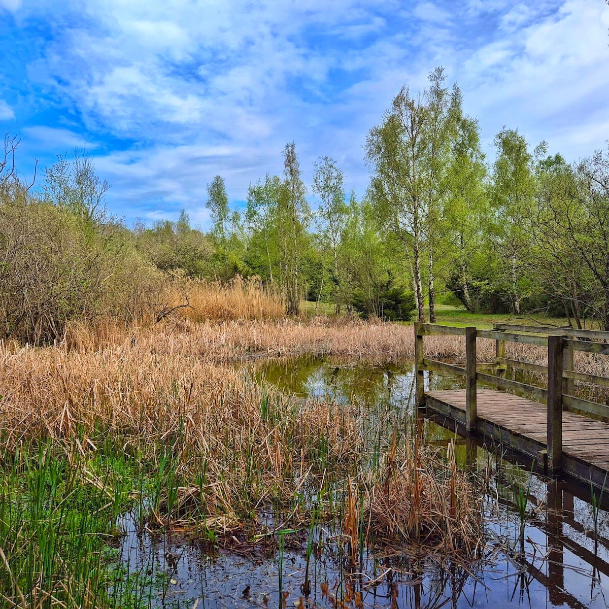 Wilford Claypit Nature Reserve