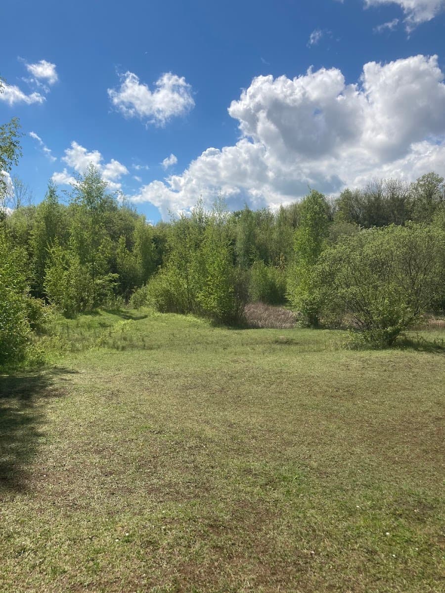 Wilford Claypit Nature Reserve