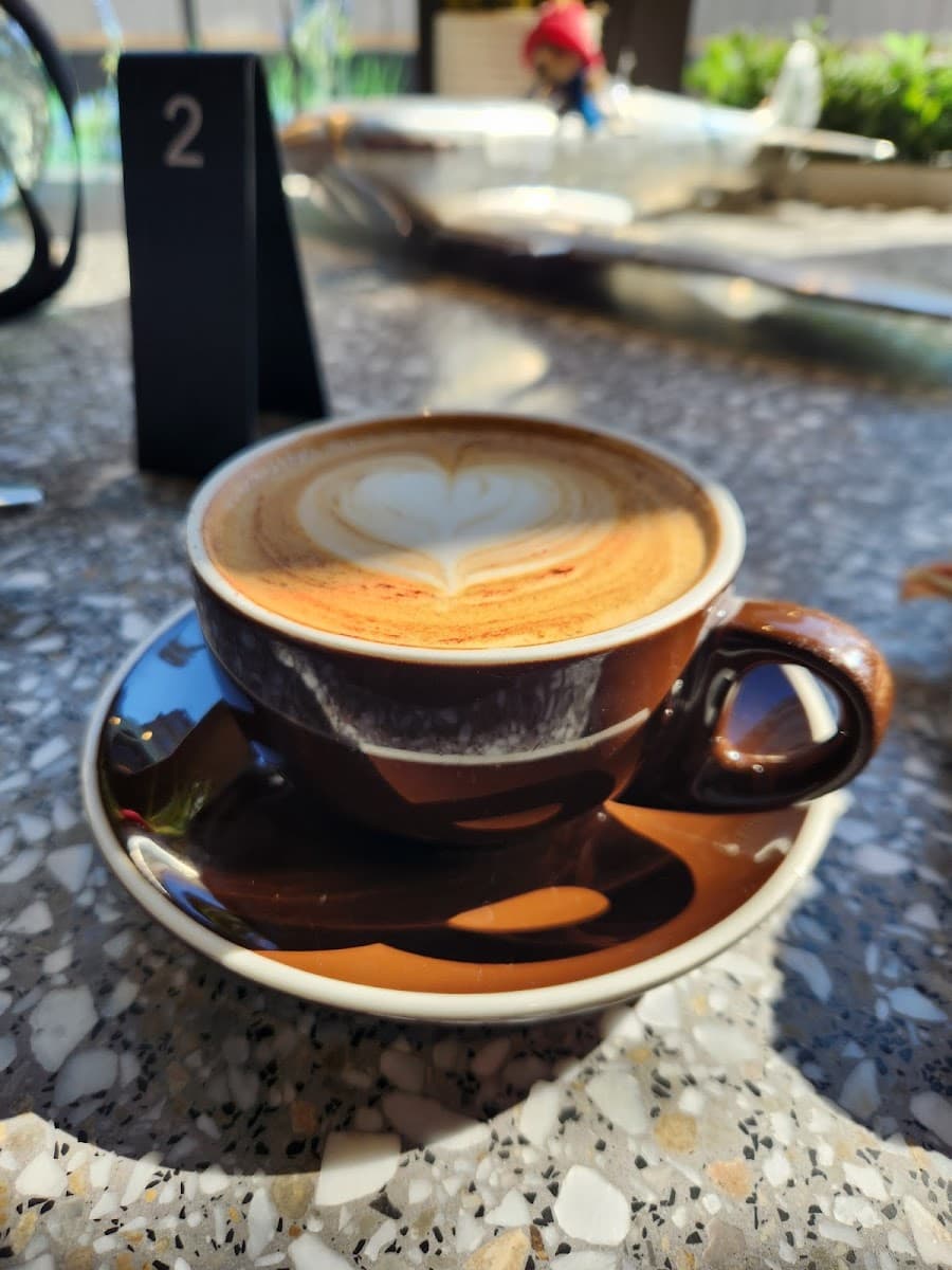 Treelogy Speciality Coffee Paddington