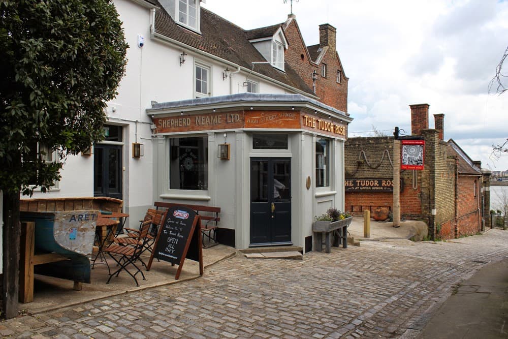 Tudor Rose