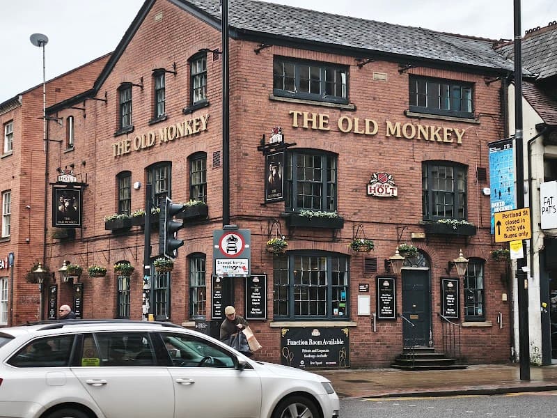 The Old Monkey