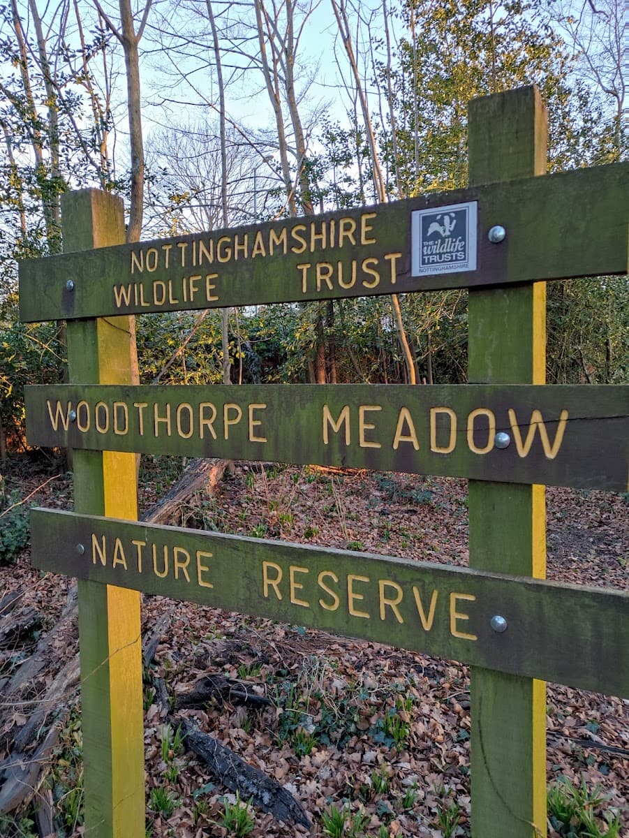 Woodthorpe Meadows Nature Reserve