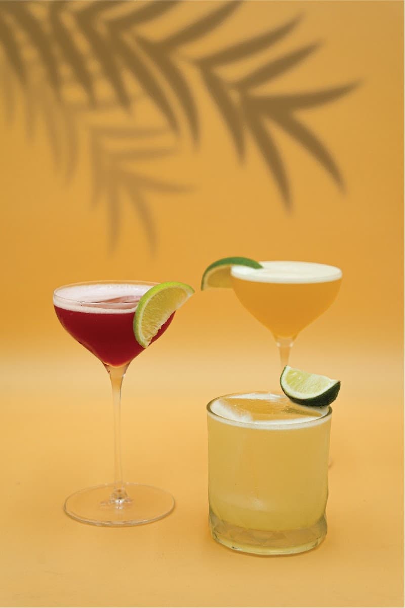 Palm Caribbean Garden Bar