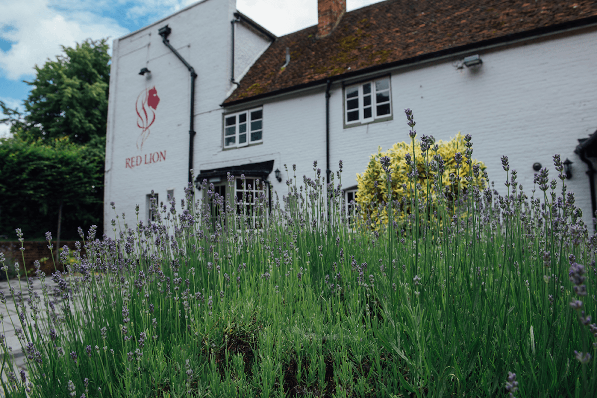 The Red Lion Pub & Dining