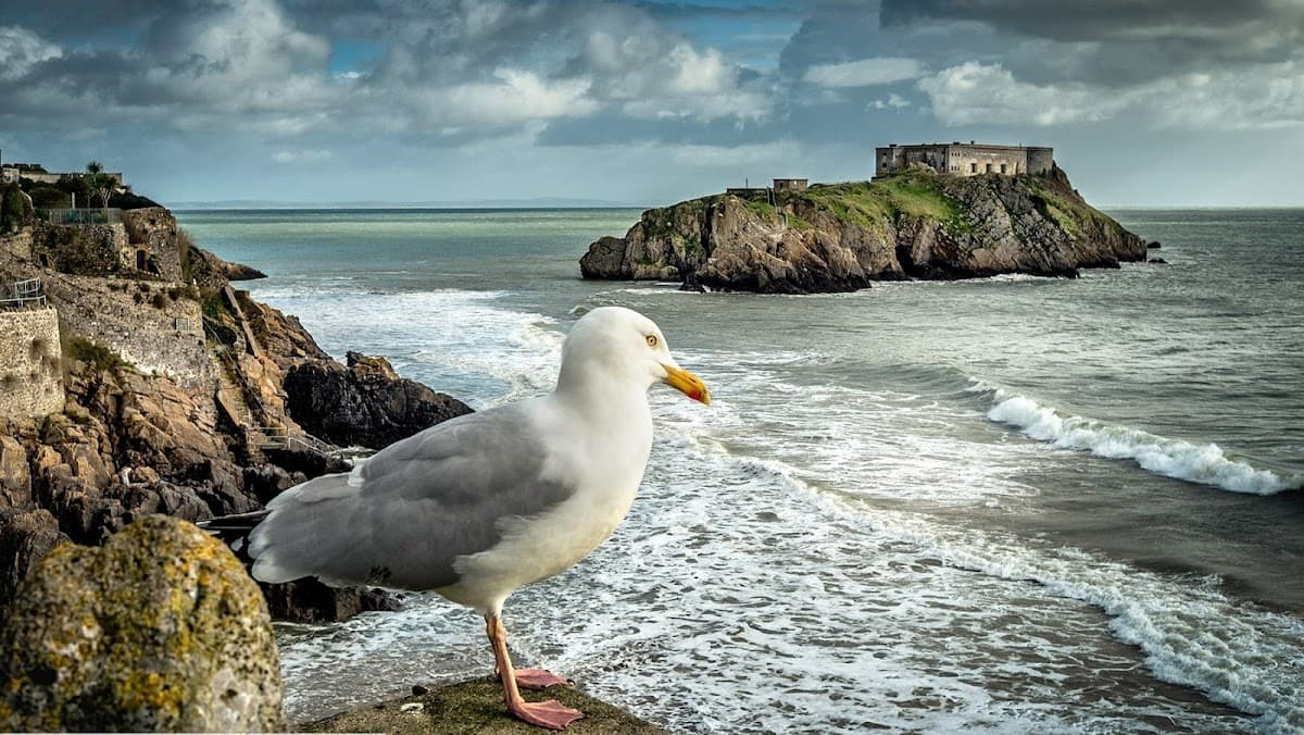 Three Mariners Pub of Tenby, Wales