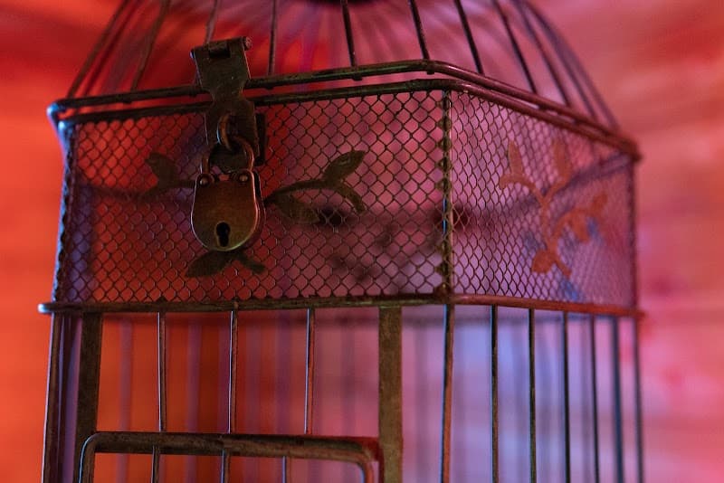 Z-escape, The Library of Enchantment