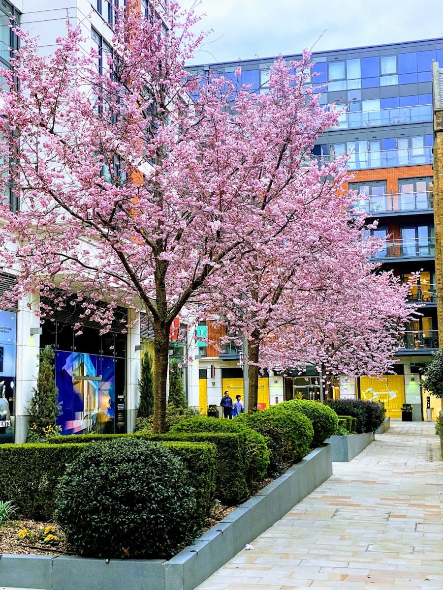 Dickens Yard