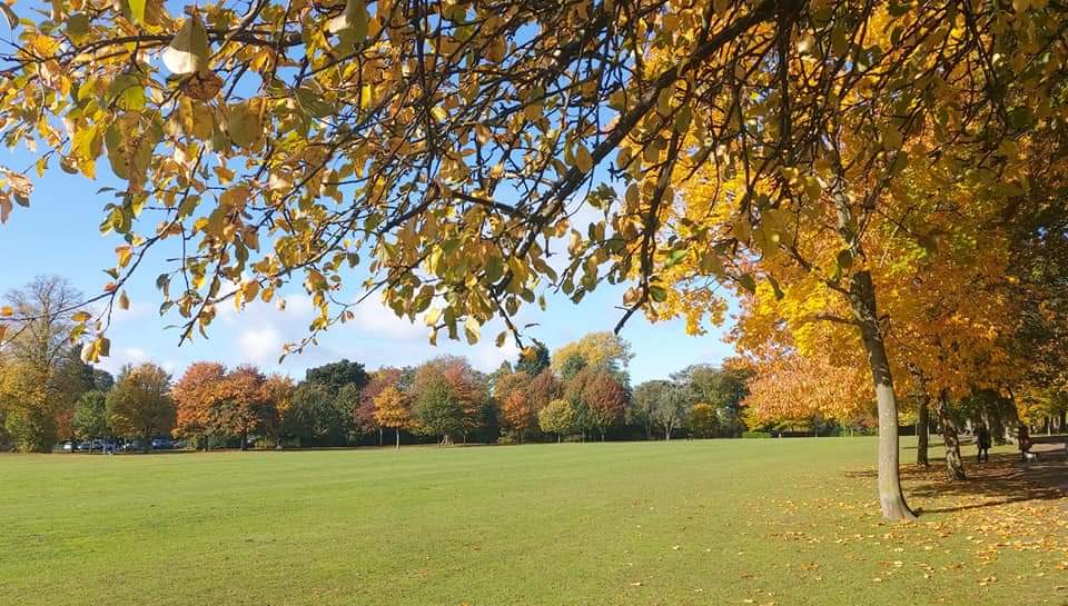 Kings Heath Park