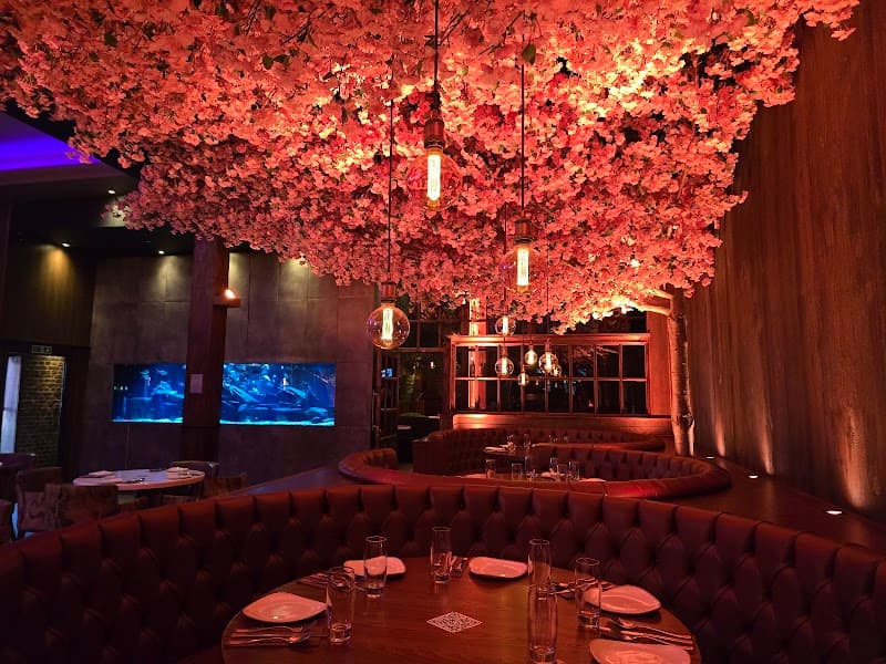 Akshaya - The Picture Drome