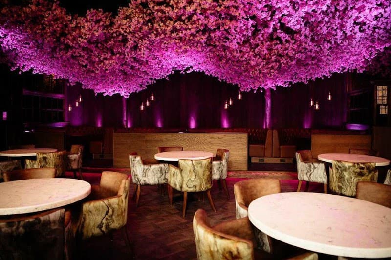 Akshaya - The Picture Drome