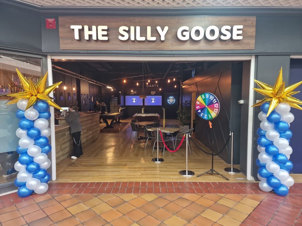 The Silly Goose