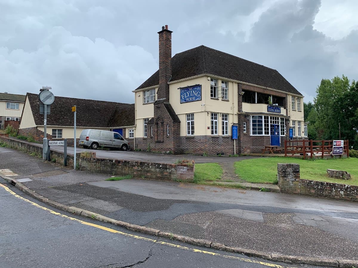 The Flying Horse
