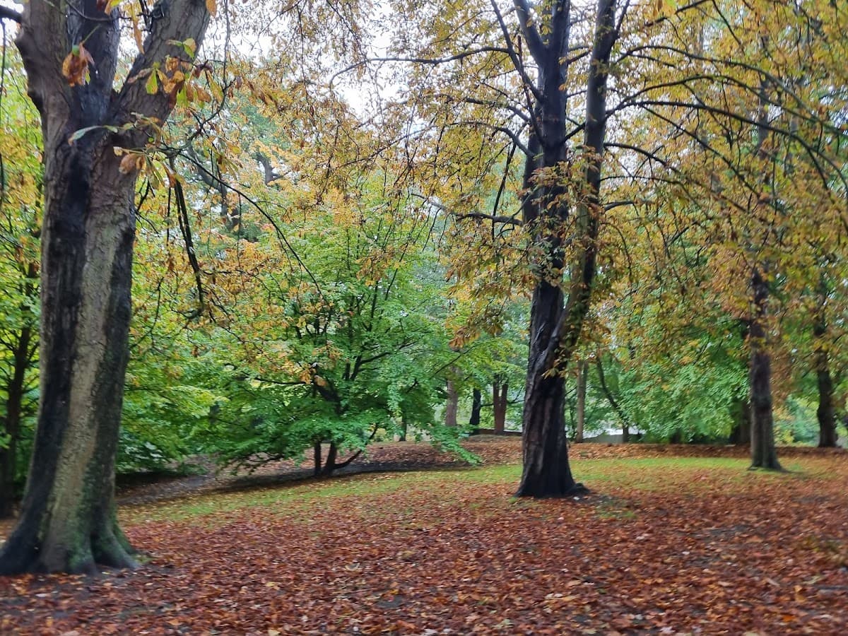 Cannizaro Park