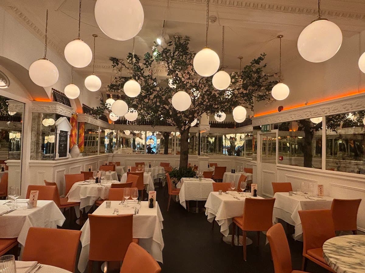 San Carlo - Bristol