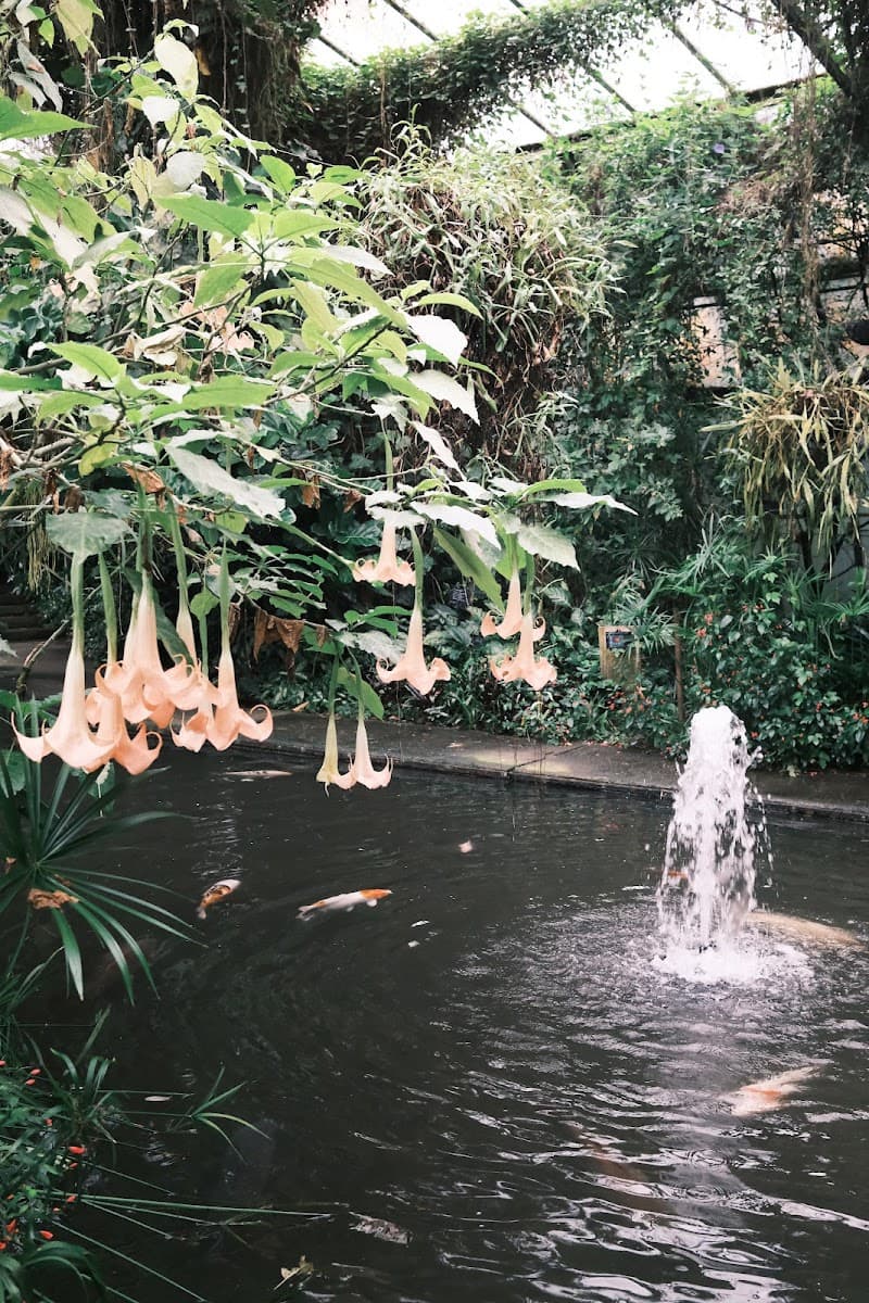 Roath Park Conservatory