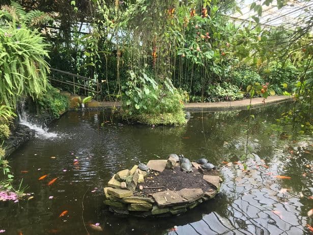 Roath Park Conservatory