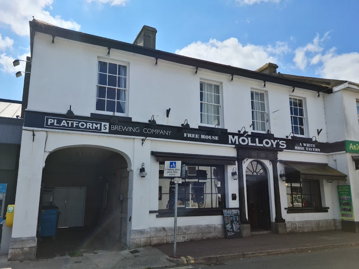 Molloys