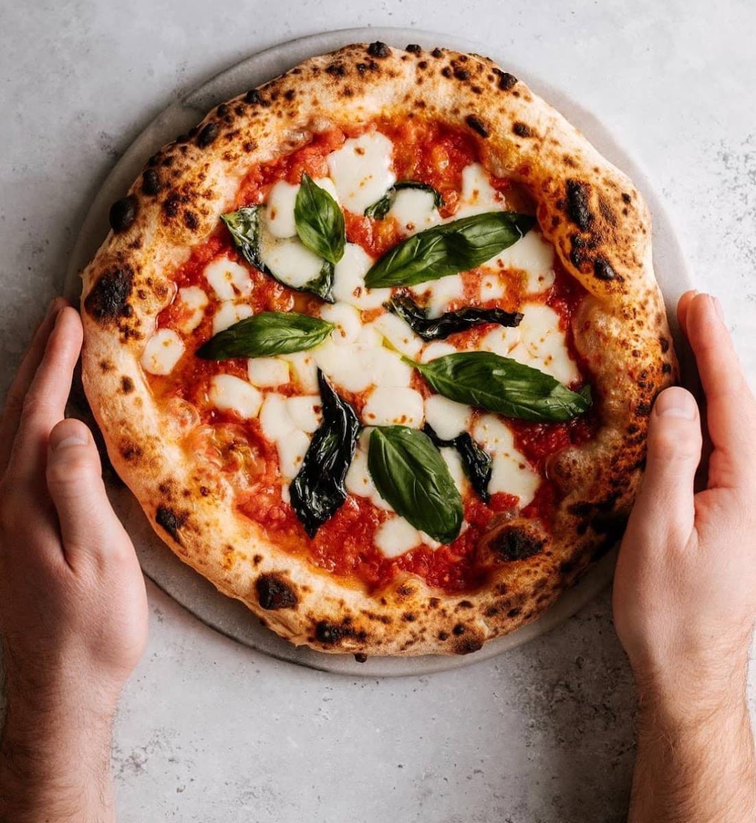 Tomato & Basil Pizzeria