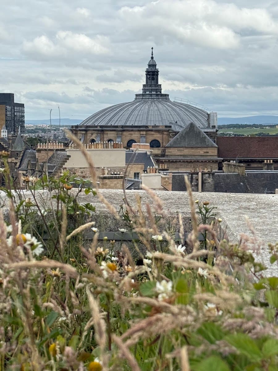 Roof Terrace