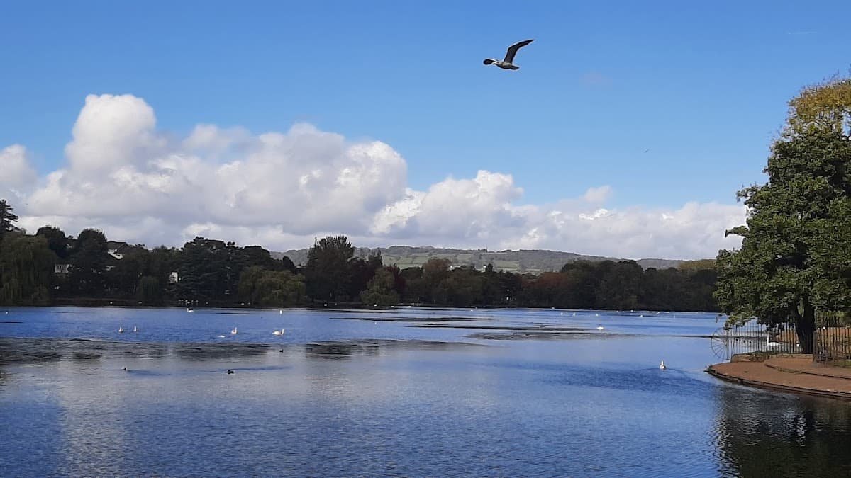Roath Park Wild Gardens