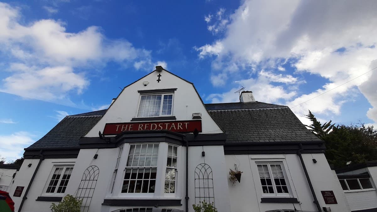 The Redstart