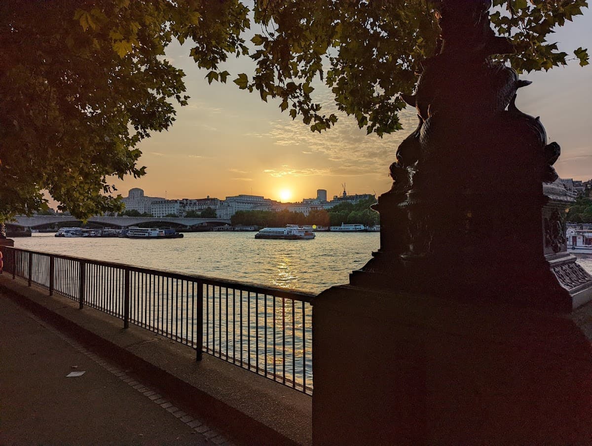 Riverside Grass