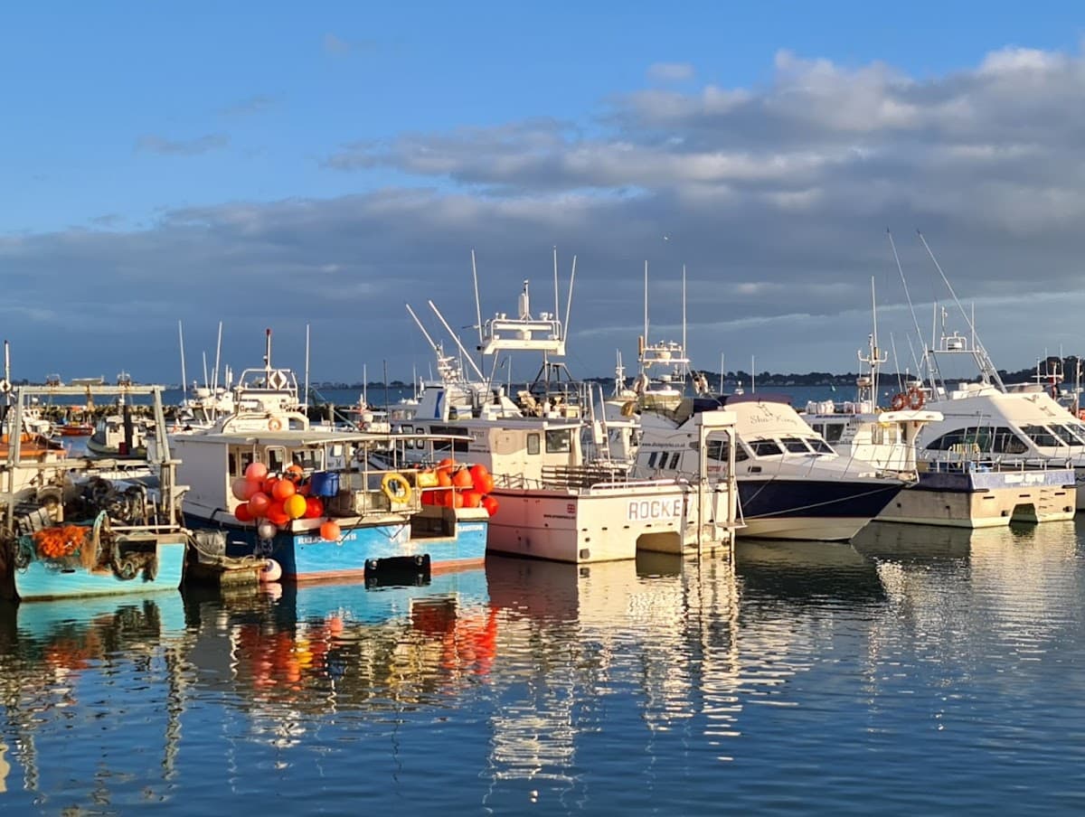 Poole Quay Boat Haven