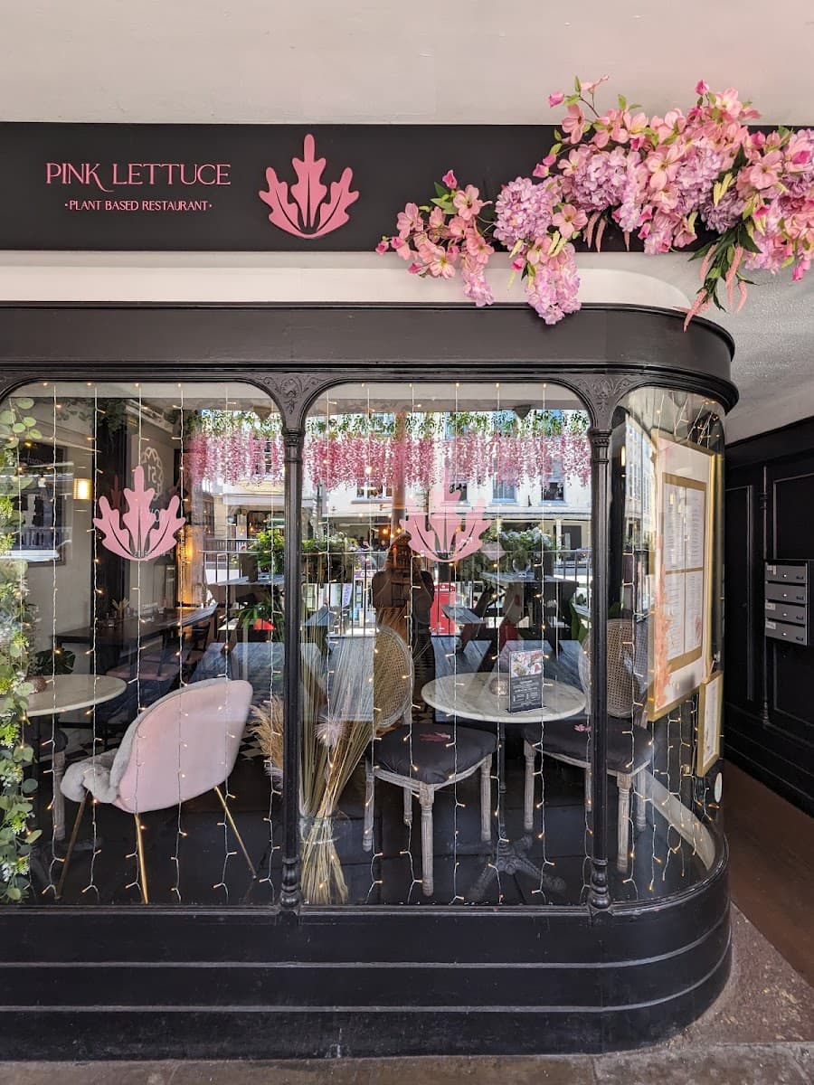 Pink Lettuce