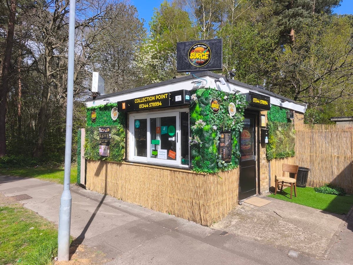 Surge Burger